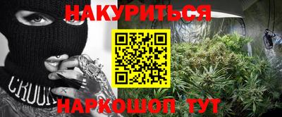 прущие грибы Краснодар