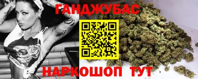 гидра Краснознаменск