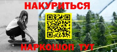 прущие грибы Краснодар
