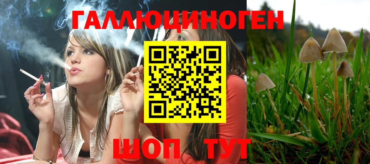 Канаш  Псилоцибиновые грибы Psilocybine cubensis  Вход с VPN  закладка  Галлюциногенные грибы GOLDEN TEACHER 