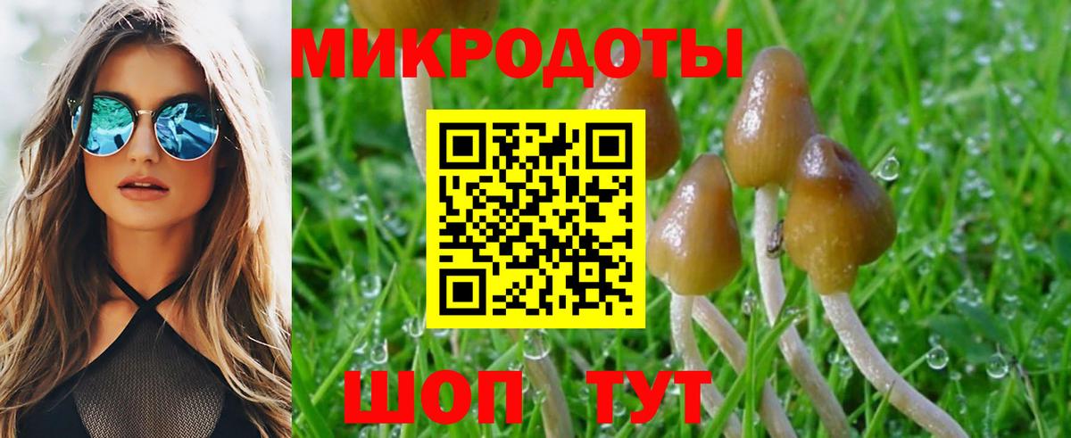 Галлюциногенные грибы Cubensis Канаш